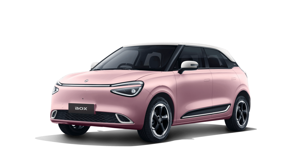 Dongfeng BOX pink Carro SG